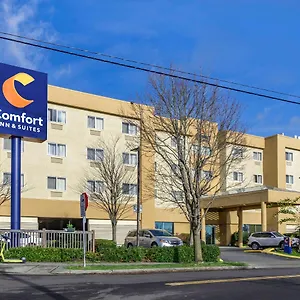 Comfort & North 2*, Seattle United States